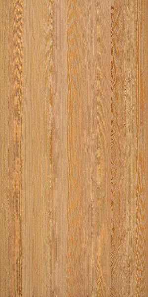 1 spring larch plaat 3