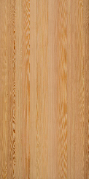 1 spring larch plaat 4