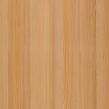 Spring Larch