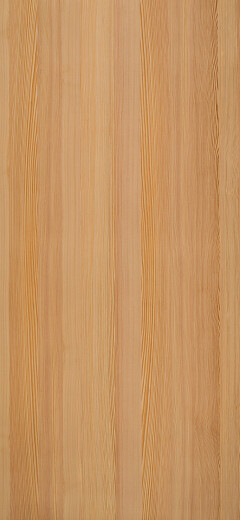 Spring Larch