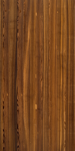 2 autumn larch plaat 1