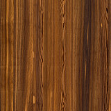 Autumn Larch