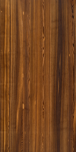 2 autumn larch plaat 2
