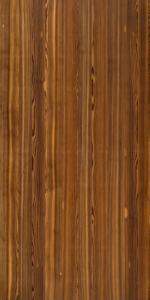 2 autumn larch plaat 3