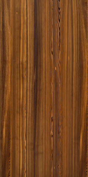 2 autumn larch plaat 4