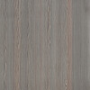 Winter Larch lack