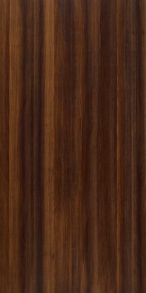 3 winter larch plaat 2