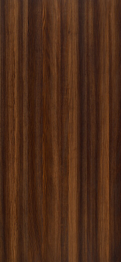 Winter Larch