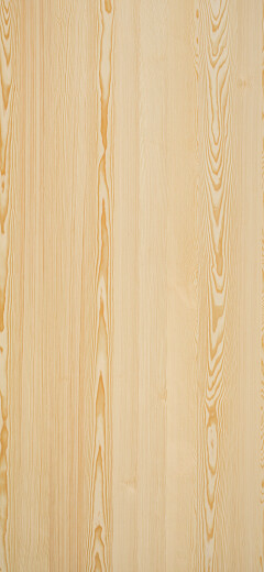 Clean Spruce
