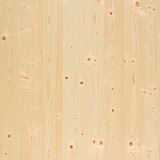 Vivid Spruce