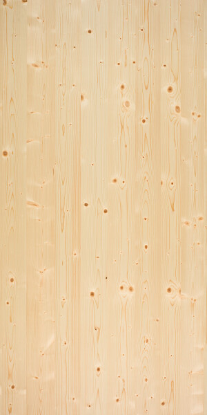 5 vivid spruce plaat 5