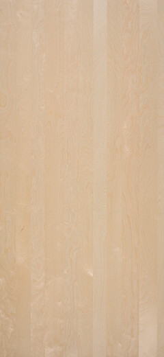 Snow Birch